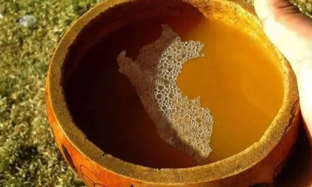 chicha-de-jora-feita-no-peru