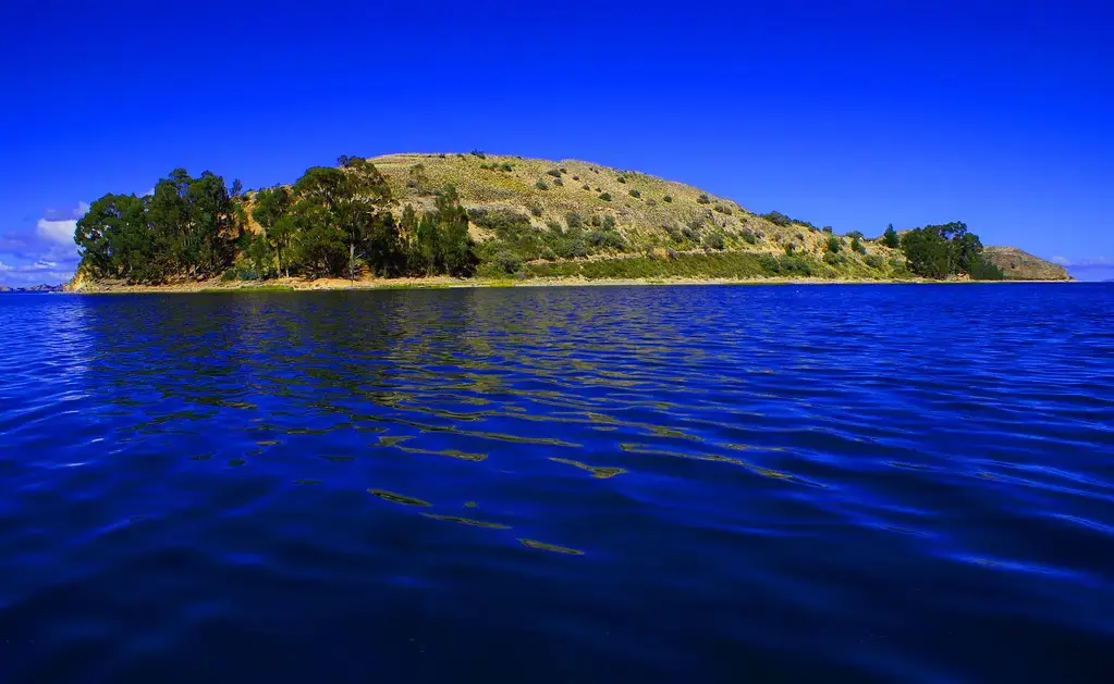 isla suasi puno