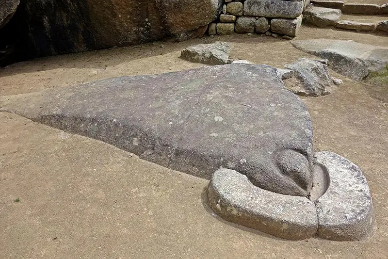 cabeça do cóndor
